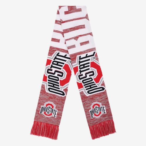 Ohio State Buckeyes Wordmark Big Logo Colorblend Scarf