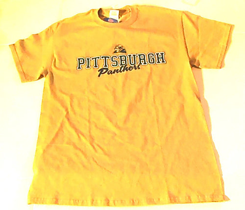 Mens Pitt Panthers Vintage Campus Script Tee Shirt