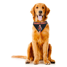 NFL Team Dog Bandana