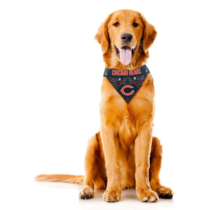 NFL Team Dog Bandana