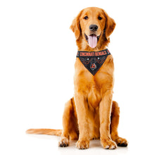 NFL Team Dog Bandana